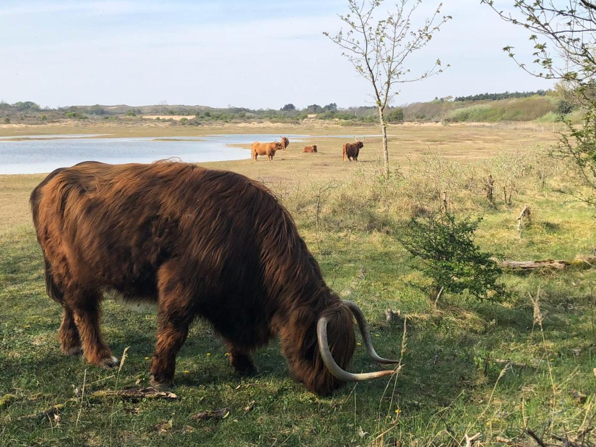 De Duinlopers - Studio Appt Bries - Strand, Duinen En Nabij Cultuur Steden Кастрикум Екстериор снимка
