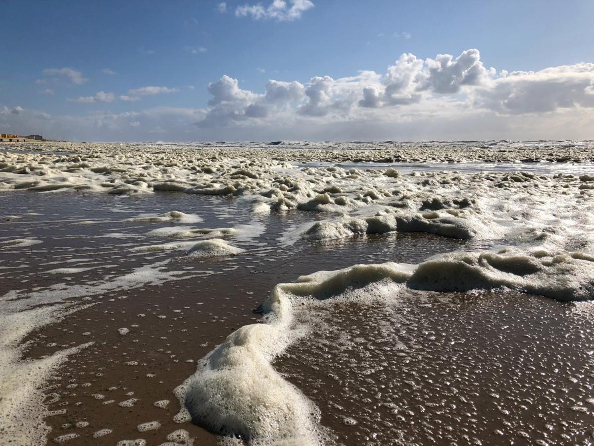 De Duinlopers - Studio Appt Bries - Strand, Duinen En Nabij Cultuur Steden Кастрикум Екстериор снимка